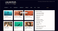 Desktop Screenshot of liquidguru.com