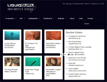 Tablet Screenshot of liquidguru.com